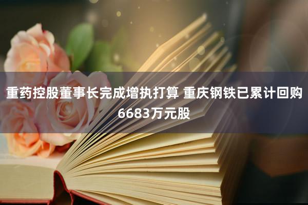 重药控股董事长完成增执打算 重庆钢铁已累计回购6683万元股