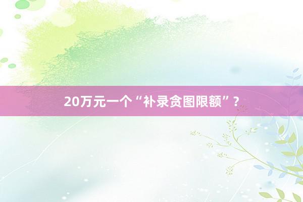 20万元一个“补录贪图限额”？