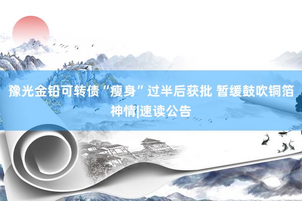 豫光金铅可转债“瘦身”过半后获批 暂缓鼓吹铜箔神情|速读公告