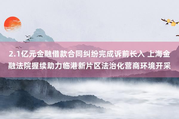 2.1亿元金融借款合同纠纷完成诉前长入 上海金融法院握续助力临港新片区法治化营商环境开采