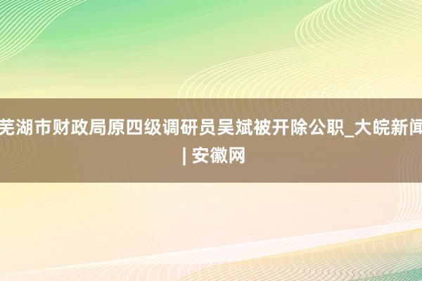 芜湖市财政局原四级调研员吴斌被开除公职_大皖新闻 | 安徽网